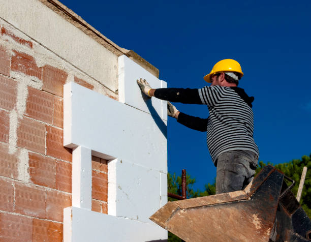 Best Insulation Inspection Services  in Lewisville, NC