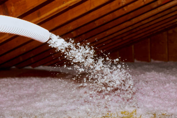 Best Best Insulation Companies  in Lewisville, NC