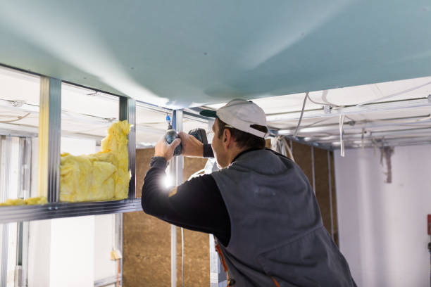 Best Home Insulation Services  in Lewisville, NC