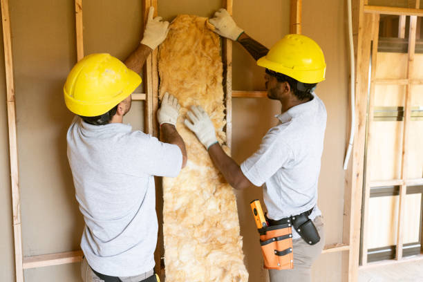 Best Spray Foam Insulation  in Lewisville, NC