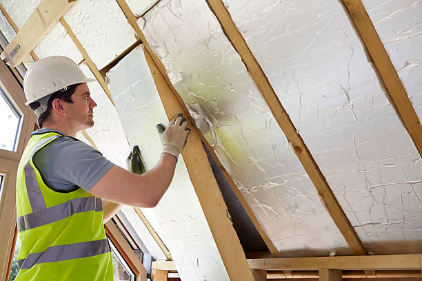 Best Professional Insulation Contractor  in Lewisville, NC
