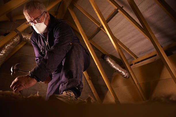 Best Attic Insulation Installation  in Lewisville, NC